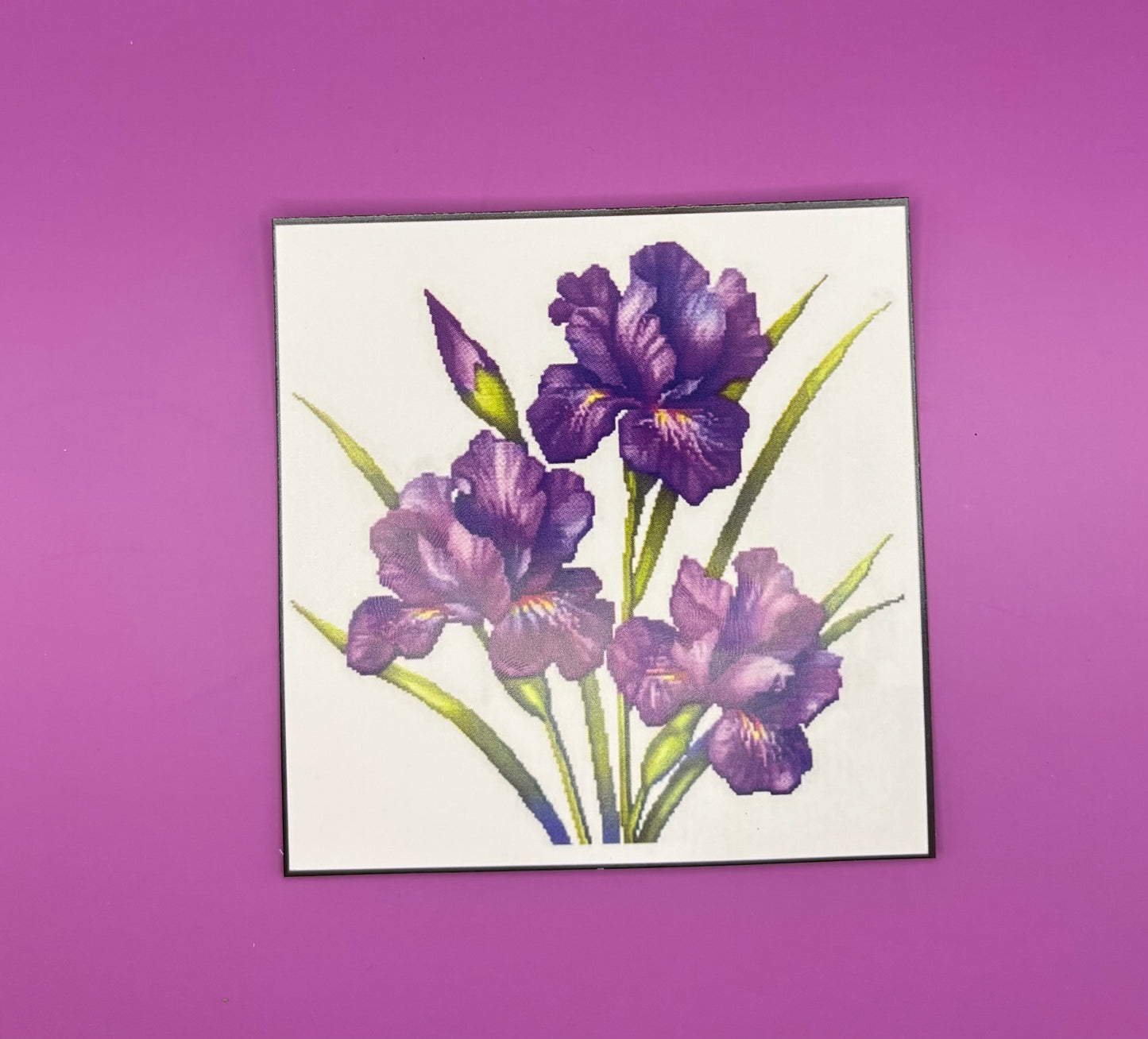 Iris