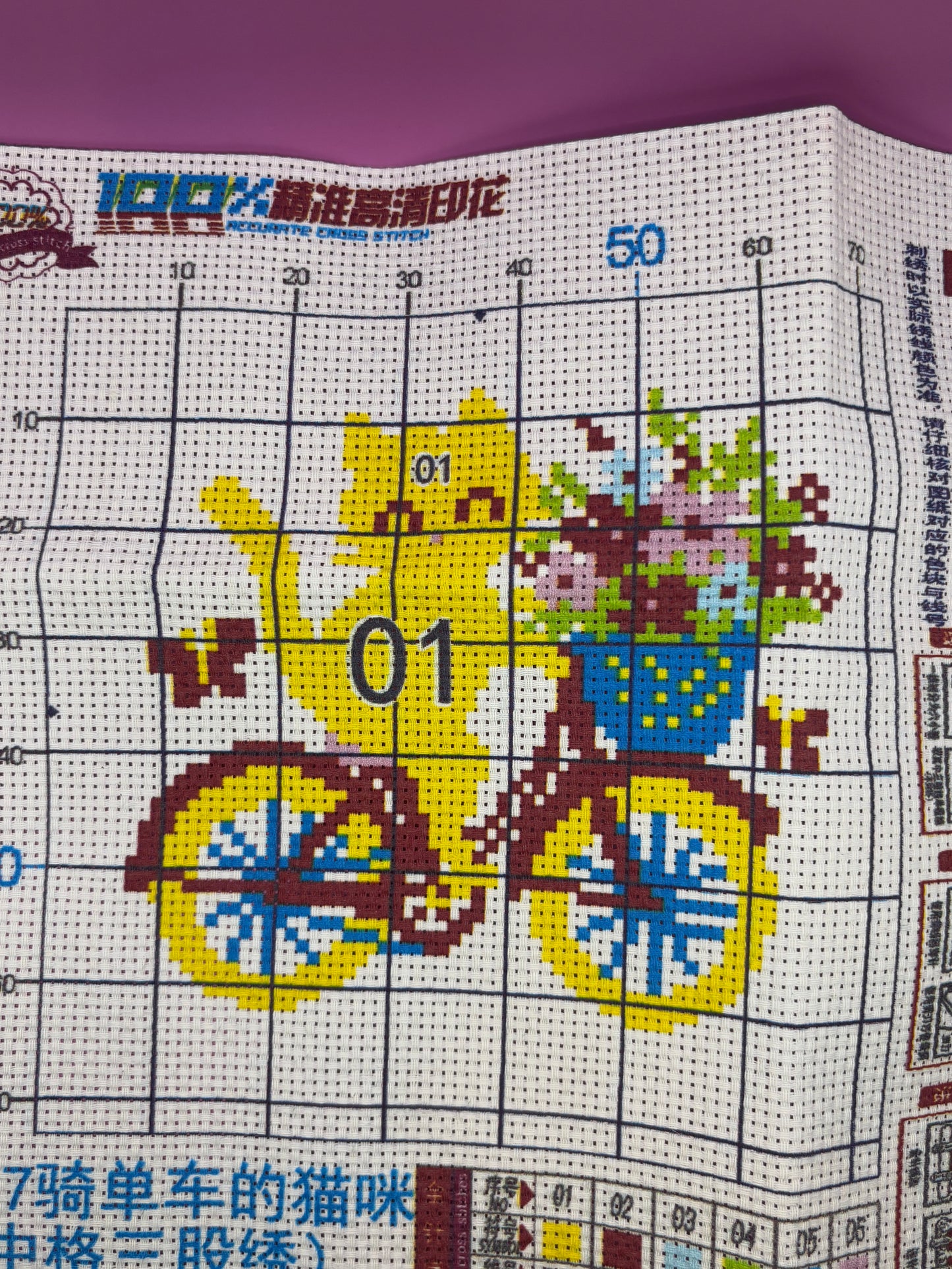 Bicycle Cat
