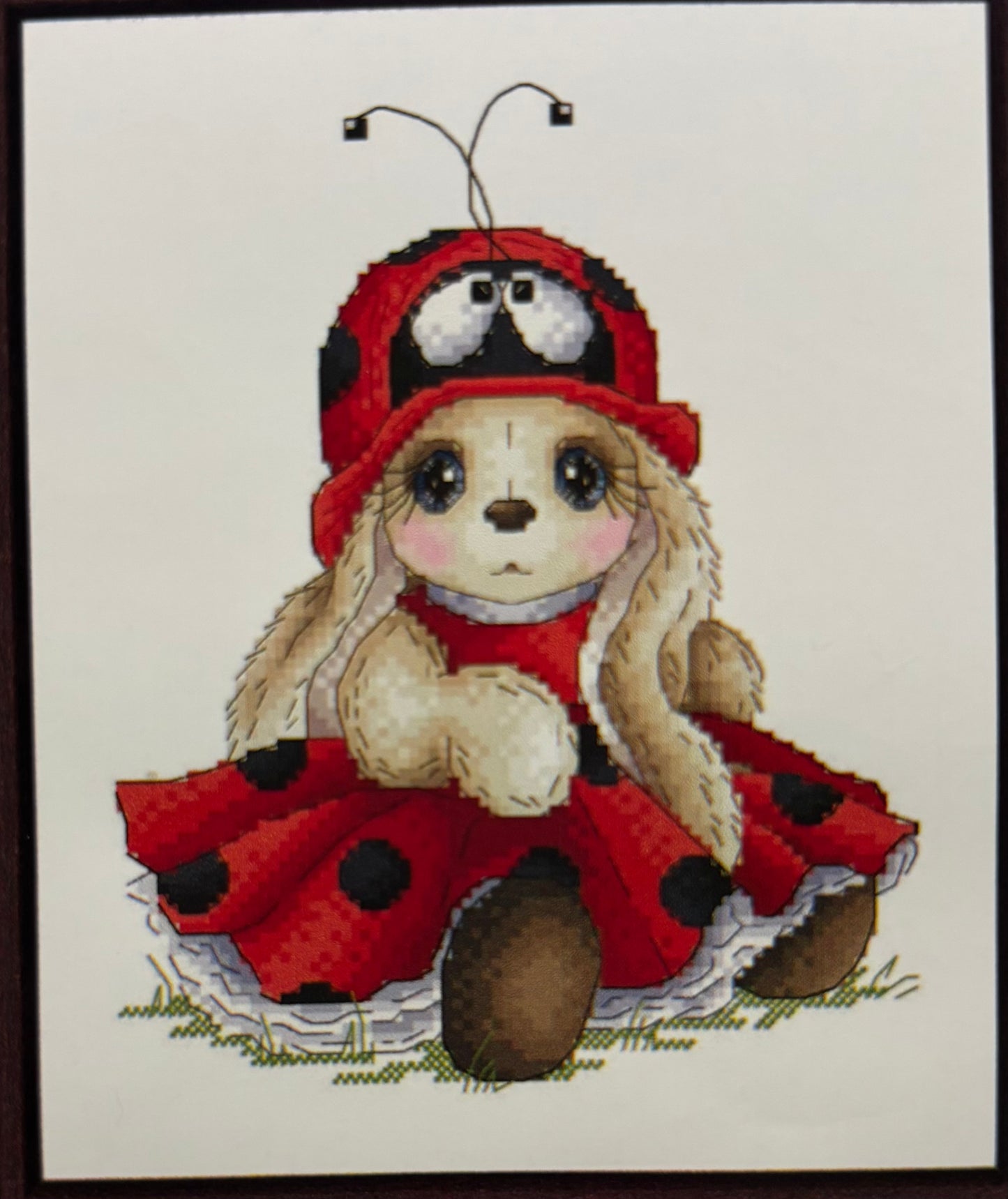 Bunny Ladybug