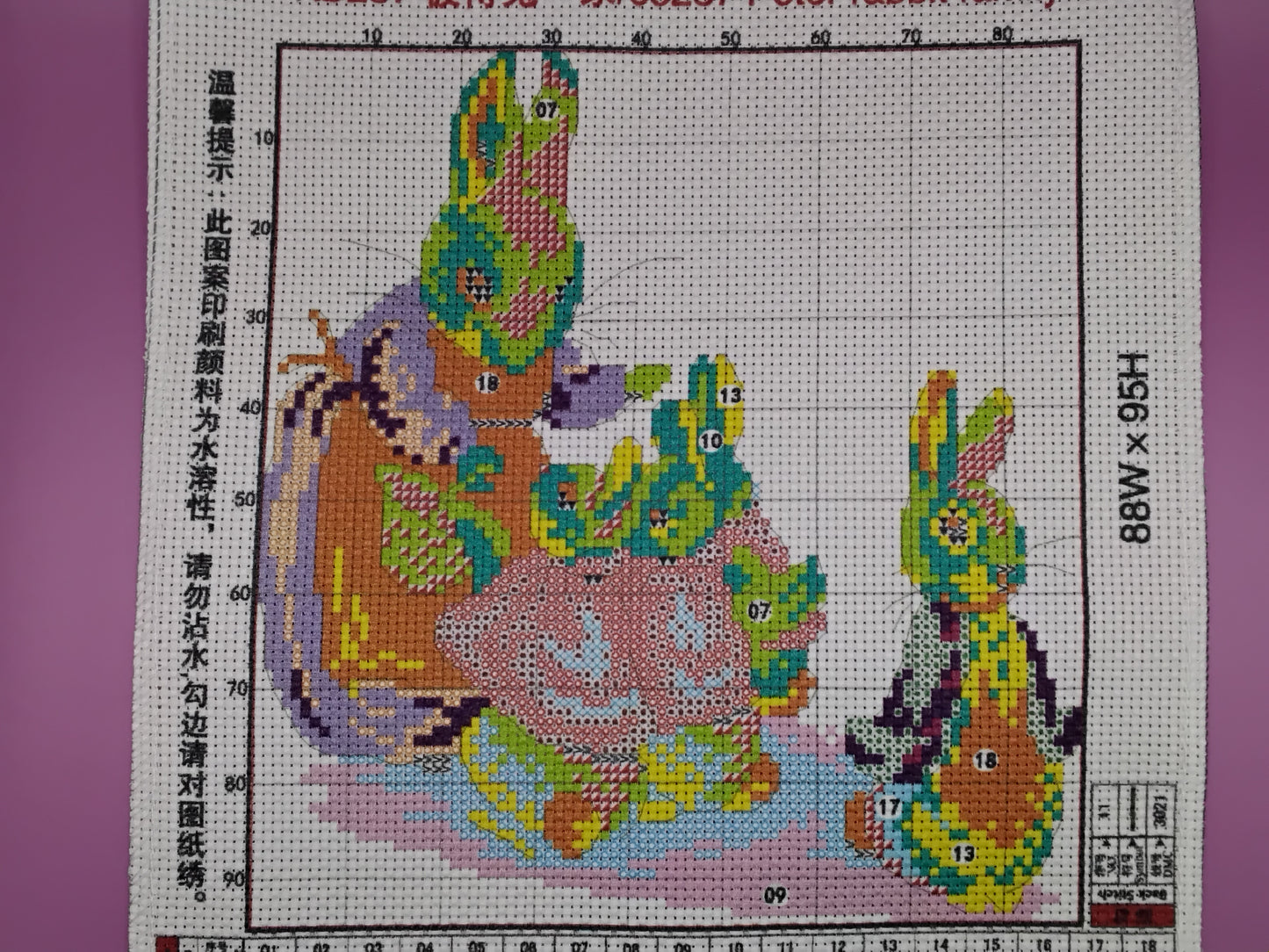 Peter rabbit family cross stitch kit