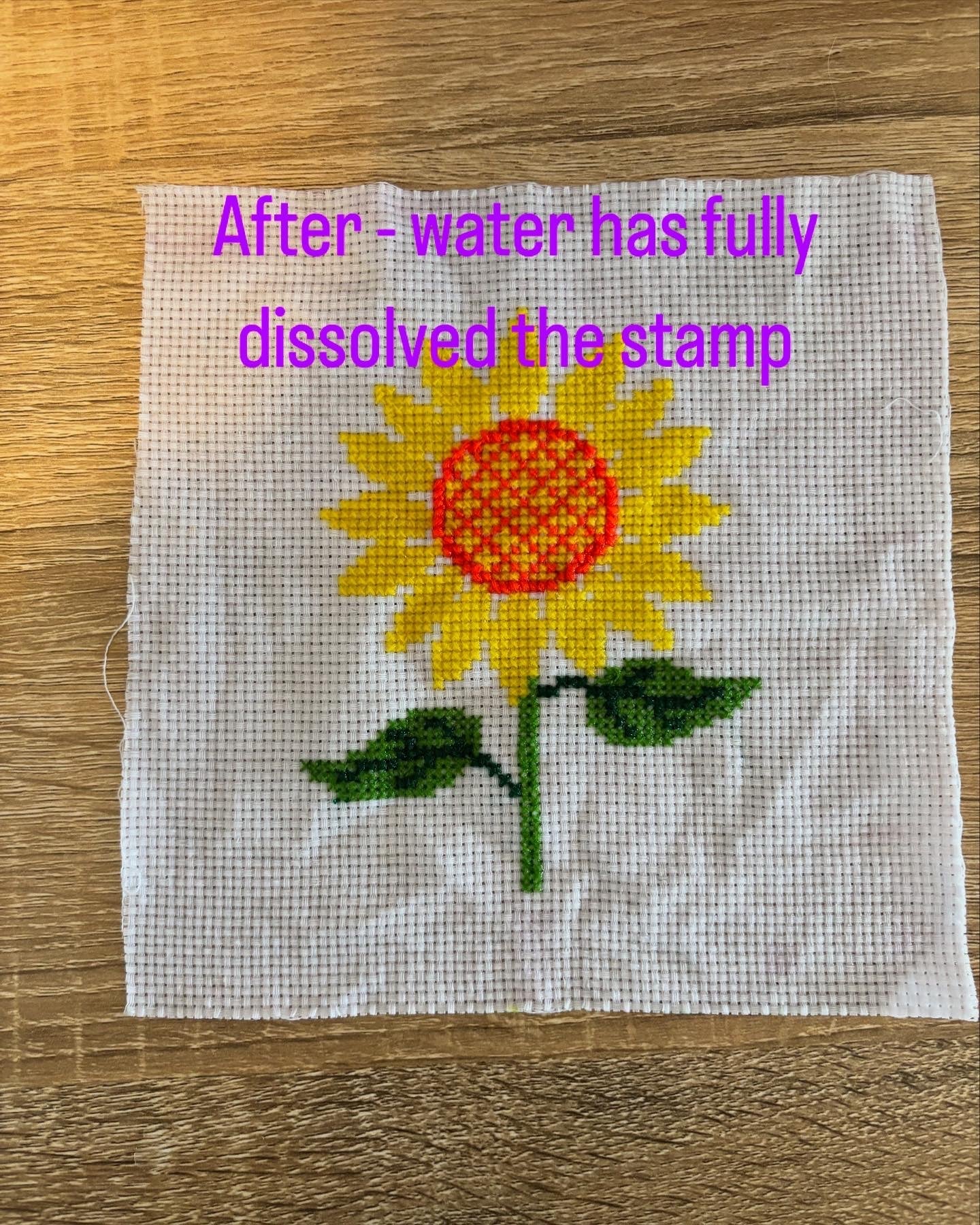 Sunflower - Threading Carefully