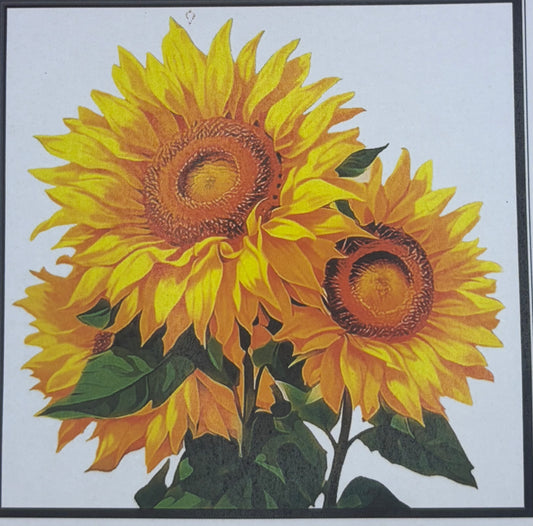 Sunflower Bunch
