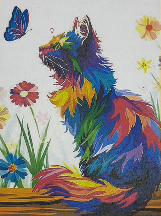Colourful Cat