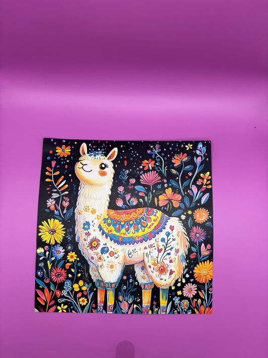 Alpaca