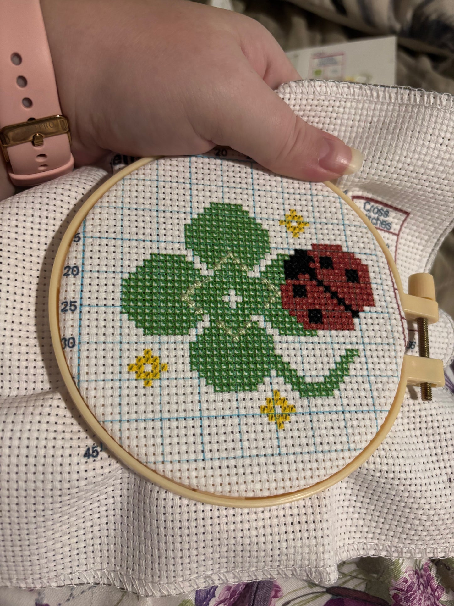 Lady Bug Cross Stitch Kit