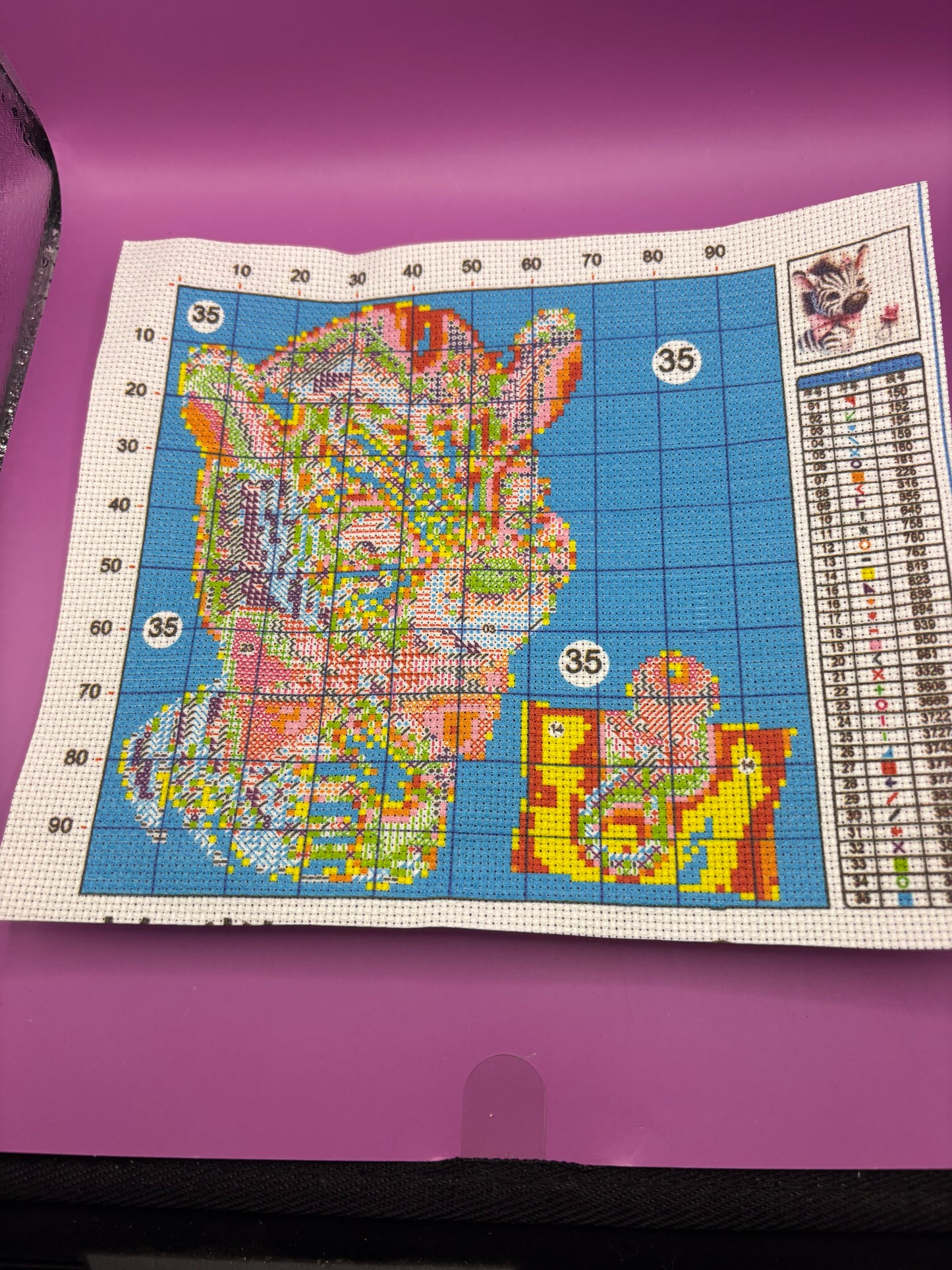 Baby Zebra Cross Stitch Kit