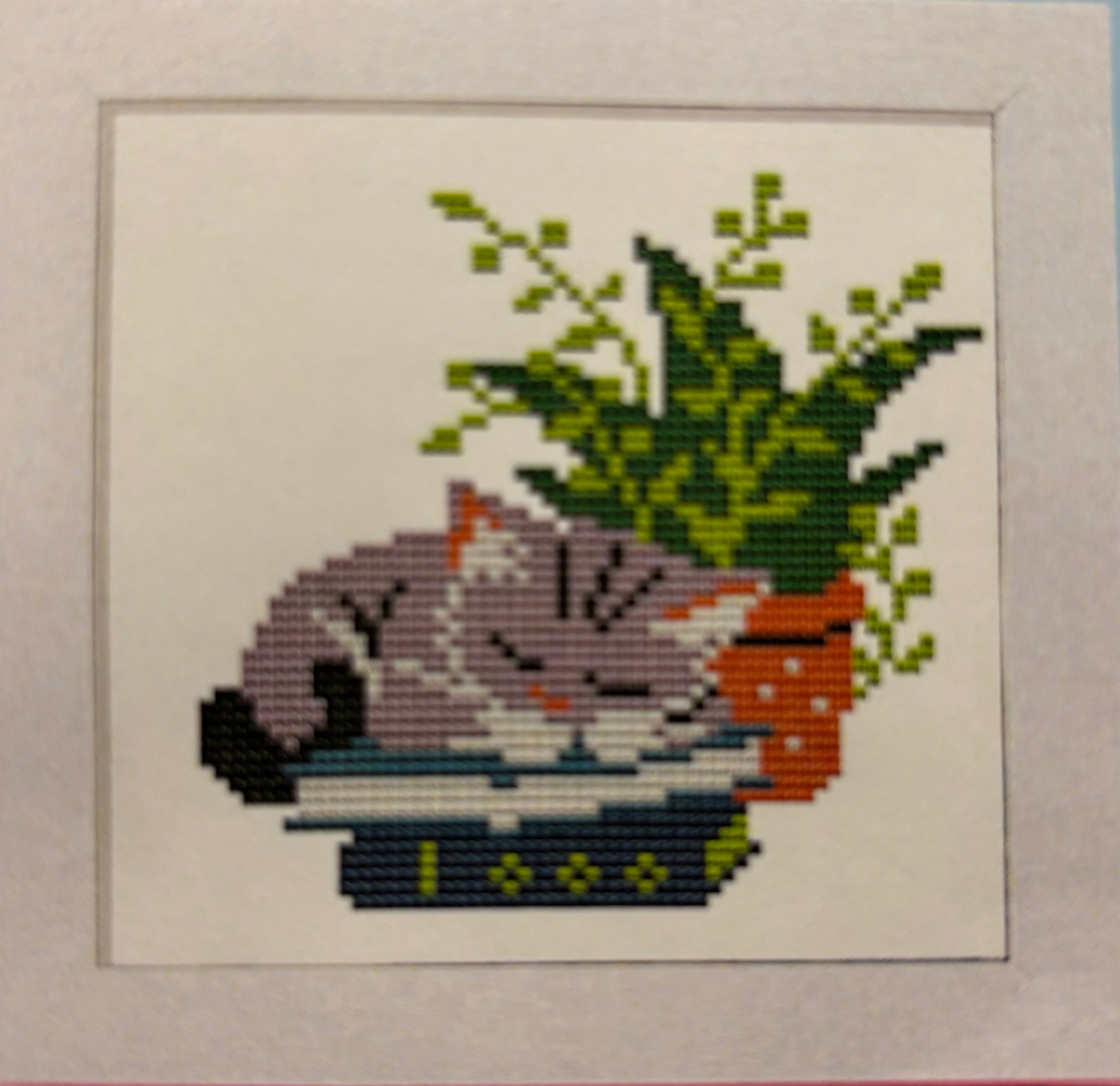 Sleepy Kitten - Threading Carefully