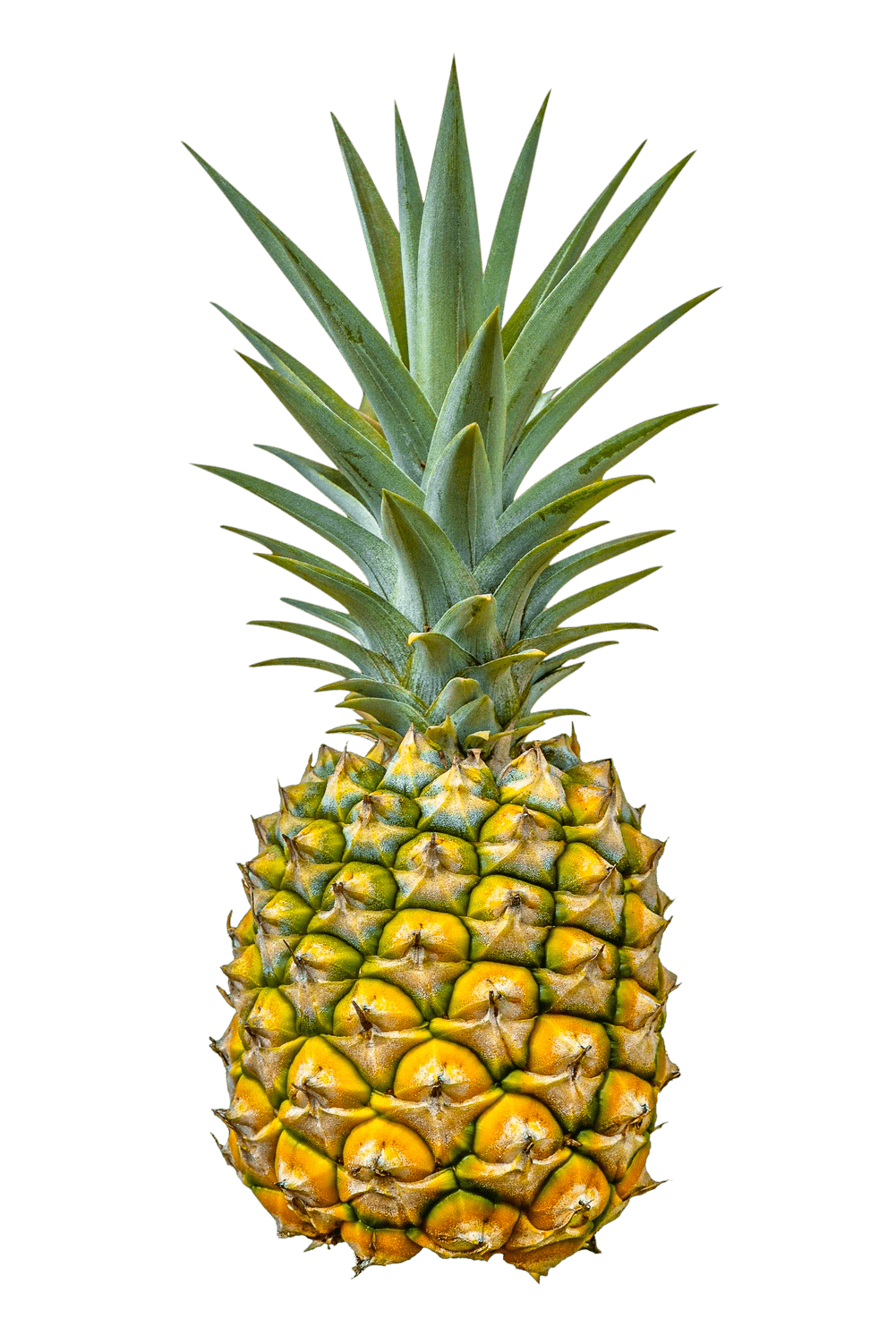 Pineapple PDF Cross stitch Pattern - Threading Carefully