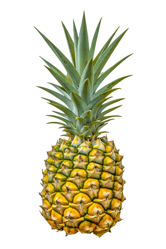 Pineapple PDF Cross stitch Pattern - Threading Carefully
