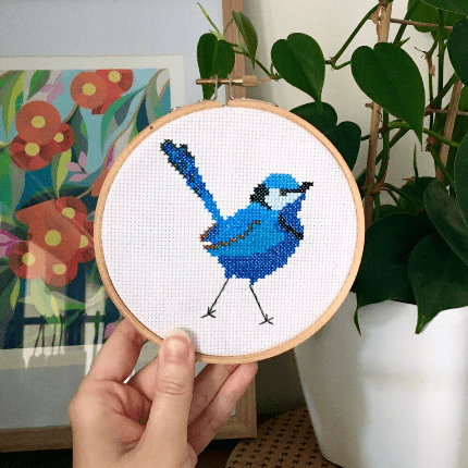 Splendid Fairy Wren - Threading Carefully